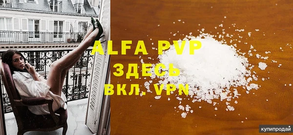 spice Верея
